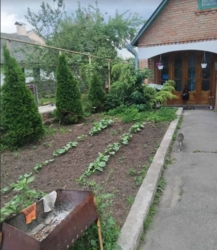 Продаж 1 поверхового будинку з гаражем і ділянкою на 10 соток, 100 кв. м, 4 кімнати фото 5 Продаж 1 поверхового будинку з гаражем і ділянкою на 10 соток, 100 кв. м, 4 кімнати фото 5