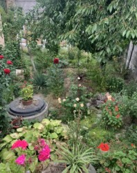 Продаж частини будинку на вул. Бучми, 6 кімнат фото 4 Продаж частини будинку на вул. Бучми, 6 кімнат фото 4