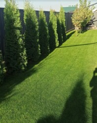 Продаж 1 поверхового будинку з ділянкою на 5.4 сотки, 133.6 кв. м, 3 кімнати. Витончений дизайн. фото 41 Продаж 1 поверхового будинку з ділянкою на 5.4 сотки, 133.6 кв. м, 3 кімнати. Витончений дизайн. фото 41