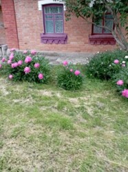 Продається житловий будинок 3 кімнати. Газифікований. фото 14 Продається житловий будинок 3 кімнати. Газифікований. фото 14