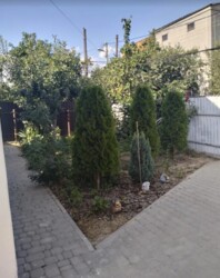 Продається 3-х кімнатний будинок. Старе місто, добрий стан. фото 8 Продається 3-х кімнатний будинок. Старе місто, добрий стан. фото 8