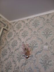 ��������� ��������� �������� ������� 81 ��.�. ���� 3