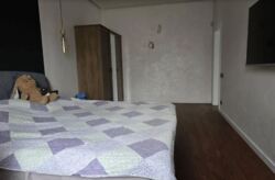 ������ 2 ����������� ������� � �������� � ������� �� 1000 �����, 325 ��. �, 4 ������, �� ���. ����� ���� 25