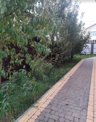 Продаж 2 поверхового будинку з балконом і ділянкою на 7 соток, 213 кв. м, 4 кімнати, на вул. Подільська фото 8 Продаж 2 поверхового будинку з балконом і ділянкою на 7 соток, 213 кв. м, 4 кімнати, на вул. Подільська фото 8