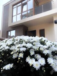 ��������� �����, ����� �����������, ������� � �������� �������� �� ��������� ������, ��� ���� ϳ������� ���. ���� 2