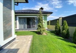  1-   .  155 .. -   5