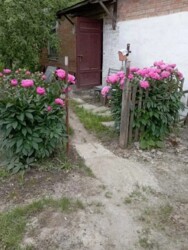 Продається житловий будинок 3 кімнати. Газифікований. фото 13 Продається житловий будинок 3 кімнати. Газифікований. фото 13