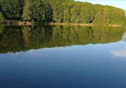 Продається таунхаус без ремонту, площа 180 кв.м. Старе місто. Біля озера. фото 4 Продається таунхаус без ремонту, площа 180 кв.м. Старе місто. Біля озера. фото 4