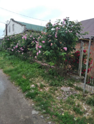 Продається будинок 96 кв.м. Гарний стан. Вигідна ціна. фото 9 Продається будинок 96 кв.м. Гарний стан. Вигідна ціна. фото 9