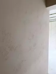 �������, � ���� �������� ����� � ���������� ���� 4