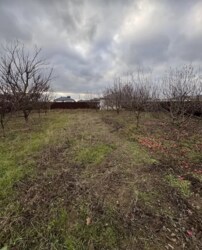 ��������� ������� � C������ ���, 250 ��.�. 2 �������. ���� 8