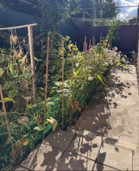 Продається частина будинку . Вигідна ціна фото 11 Продається частина будинку . Вигідна ціна фото 11