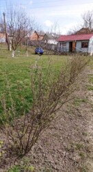 Продам дачу 26 соток 14 км від Вінниці село. Дашківці фото 4 Продам дачу 26 соток 14 км від Вінниці село. Дашківці фото 4