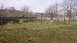 Продам дачу 26 соток 14 км від Вінниці село. Дашківці фото 5 Продам дачу 26 соток 14 км від Вінниці село. Дашківці фото 5