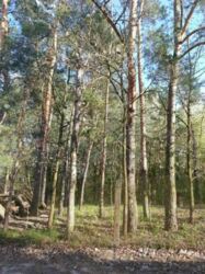 ������ ������� ������� ����,���������, ����� 130 ��.�. ���� 9