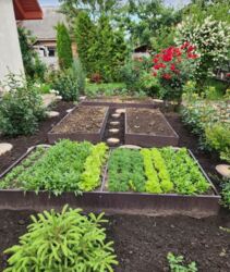 ������ 1 ����������� ������� ������ � ������� �� 5.2 �����, 70 ��. �, 3 ������, �� ���. ������ ������������ ���� 16