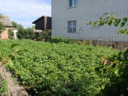 Продається 2-х поверховий будинок в р-ні Замостя. Добрий стан. Площа 196 кв.м. фото 7 Продається 2-х поверховий будинок в р-ні Замостя. Добрий стан. Площа 196 кв.м. фото 7