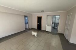 Продаж 1 поверхового будинку з ділянкою на 4.5 сотки, 205 кв. м, 3 кімнати фото 9 Продаж 1 поверхового будинку з ділянкою на 4.5 сотки, 205 кв. м, 3 кімнати фото 9