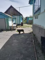 Продається будинок з можливістю виплати на 2 роки! фото 9 Продається будинок з можливістю виплати на 2 роки! фото 9