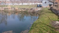 Продам дачу 26 соток 14 км від Вінниці село. Дашківці фото 2 Продам дачу 26 соток 14 км від Вінниці село. Дашківці фото 2