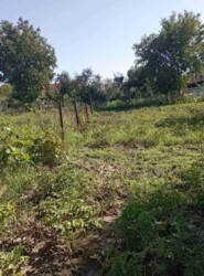 Продається житловий будинок 3 кімнати. Газифікований. фото 9 Продається житловий будинок 3 кімнати. Газифікований. фото 9