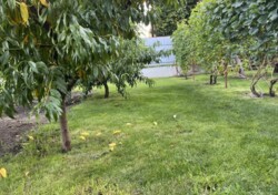 ��������� �������� ������� 215 ��.�. 5 �����, ������������� ����� ���� 38