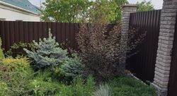 Продається будинок 287 кв.м., гарний, ексклюзивний, заходь та живи фото 9 Продається будинок 287 кв.м., гарний, ексклюзивний, заходь та живи фото 9