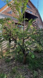 Продається 1-но поверховий будинок площею 107 кв.м. р-н Старе місто. фото 8 Продається 1-но поверховий будинок площею 107 кв.м. р-н Старе місто. фото 8