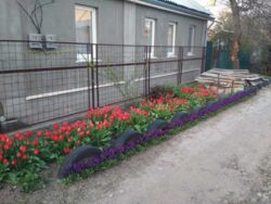 Продам будинок. Центр міста.. фото 9 Продам будинок. Центр міста.. фото 9