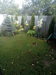 Продам дом на АРТЕМА. фото 10 Продам дом на АРТЕМА. фото 10