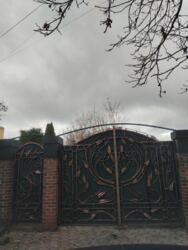 ������� ��������� ���� �-�� ��������. ���� 1