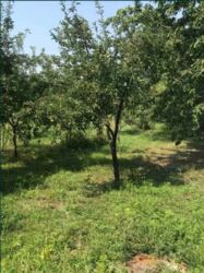 Продается кирпичный дом с новым ремонтом мебелью и быт. техникой. фото 15 Продается кирпичный дом с новым ремонтом мебелью и быт. техникой. фото 15