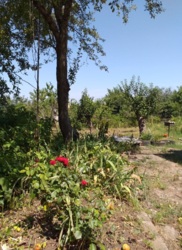 Продам большой дом фото 9 Продам большой дом фото 9