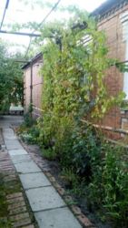 Продам дом Машмет фото 1 Продам дом Машмет фото 1