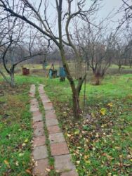 ������ ��� �������� (����� ����������). ���� 17