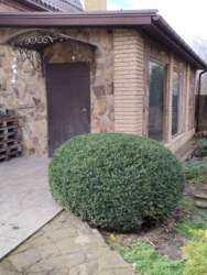 ������� ��������� ���� �-�� ��������. ���� 16