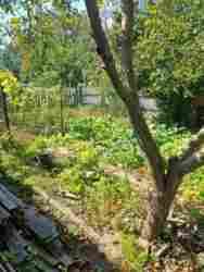 Продам дом Славянск фото 18 Продам дом Славянск фото 18