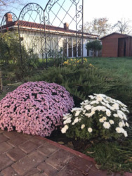 Продається VIP дом в р-н Кіма. фото 10 Продається VIP дом в р-н Кіма. фото 10