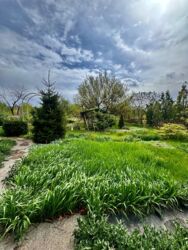 Продам дом Славянск р-н Черевковка фото 6 Продам дом Славянск р-н Черевковка фото 6