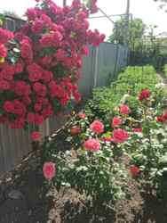 Дом на Восточном фото 4 Дом на Восточном фото 4