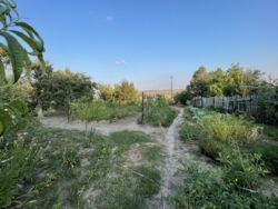 ������ ������� ��� ���� 20