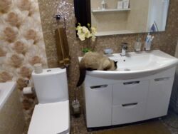 Продам дом на АРТЕМА. фото 4 Продам дом на АРТЕМА. фото 4