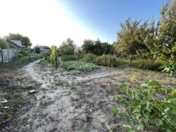 ������ ������� ��� ���� 18