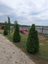 Продам Дом + 11га ОСГ. фото 6 Продам Дом + 11га ОСГ. фото 6