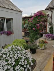 Продажа двух капитальных домов на одном участке , после капитального ремонта , в мрн.Химик! фото 2 Продажа двух капитальных домов на одном участке , после капитального ремонта , в мрн.Химик! фото 2