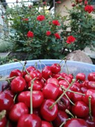 Продам дом Славянск фото 11 Продам дом Славянск фото 11