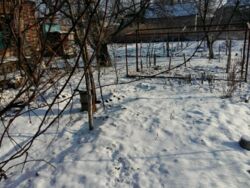 Продается дом. фото 5 Продается дом. фото 5