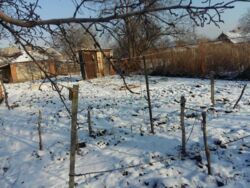 Продается дом. фото 4 Продается дом. фото 4