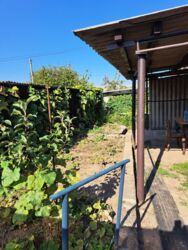 ��� � �������� �������� �-� ���������� ���� 5