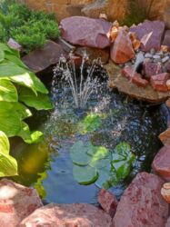 ������ �������� ��� (����������). ���� 20